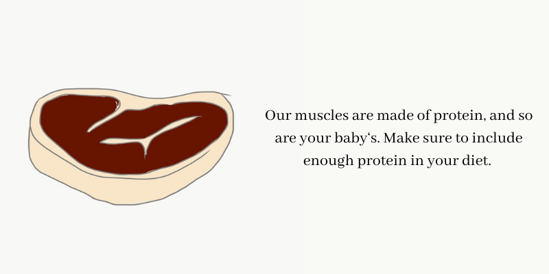 Steak: protein source for a complete pregnancy diet